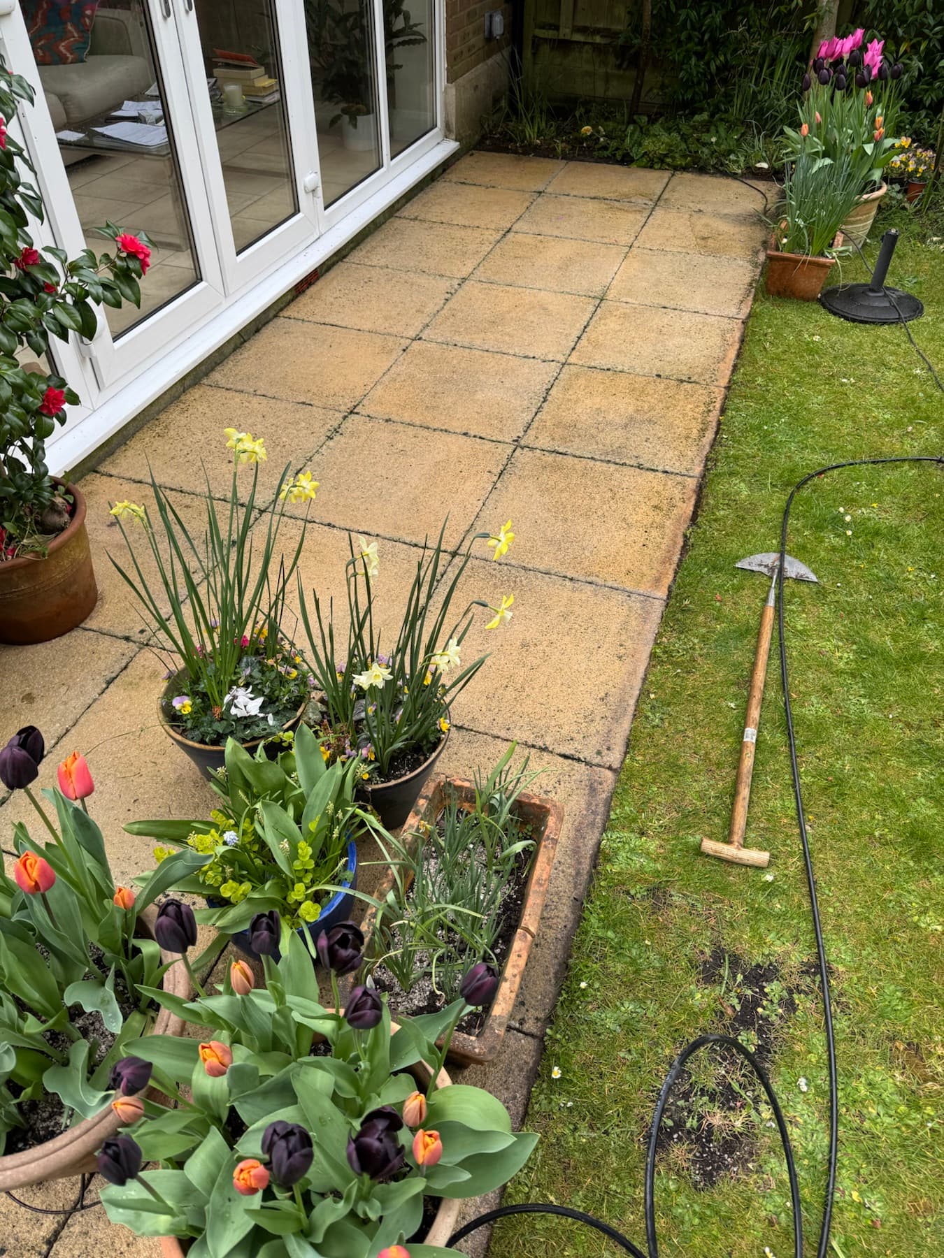 Patio after restoration, showing cleaned paving beside the garden