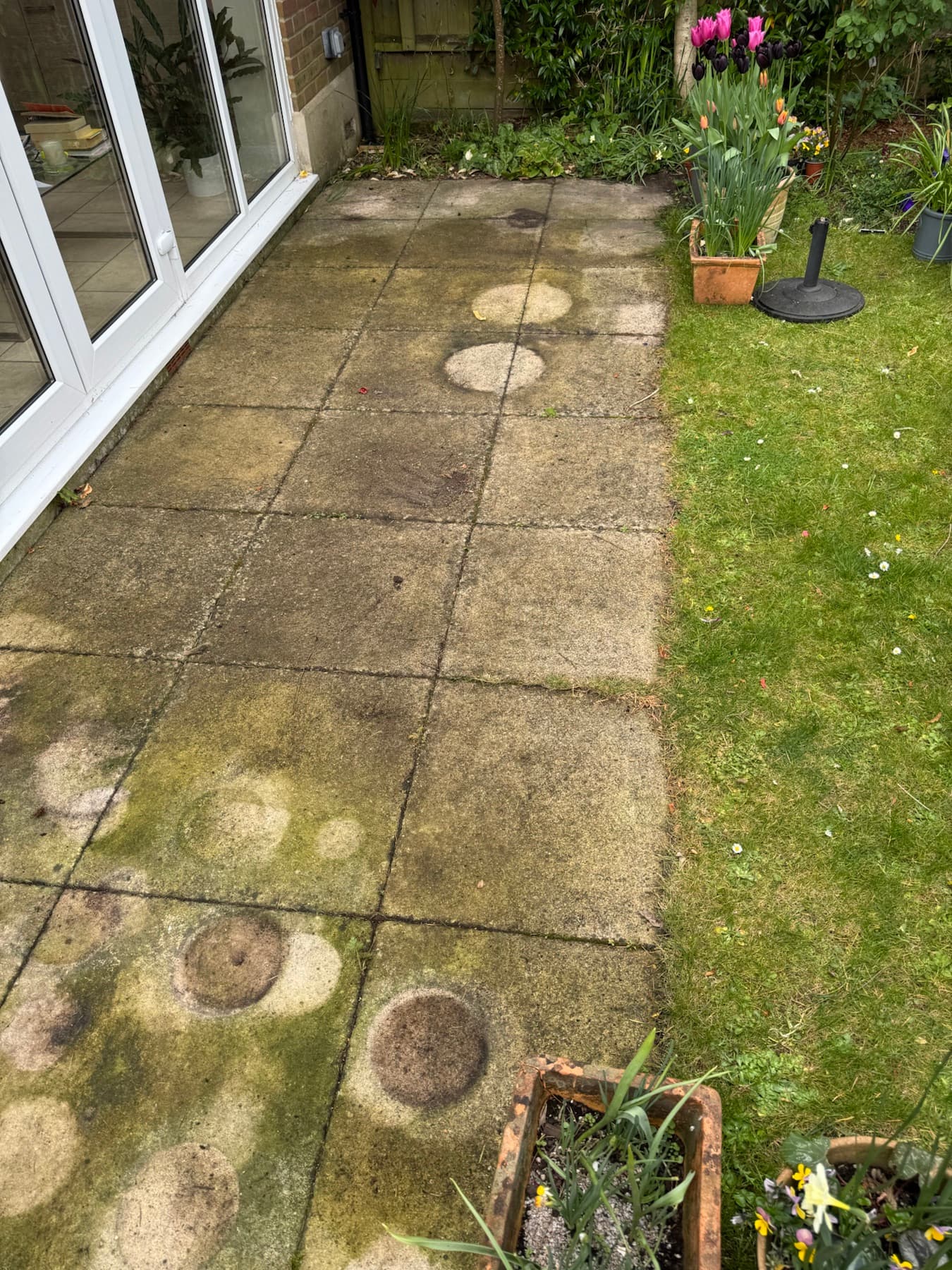 Patio before restoration, showing weathered paving and garden growth